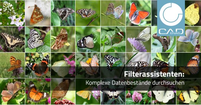 Filterassistenten von CADENAS: Komplexe Datenbestände durchsuchen